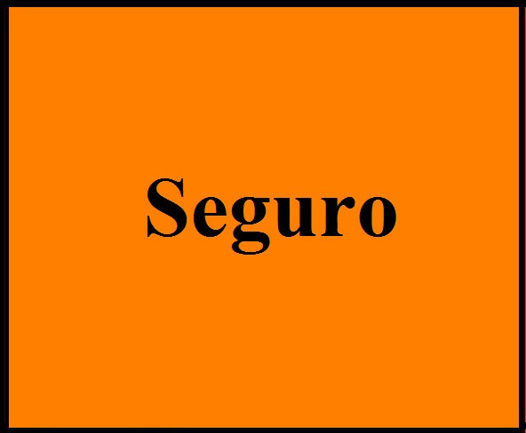 Seguro
